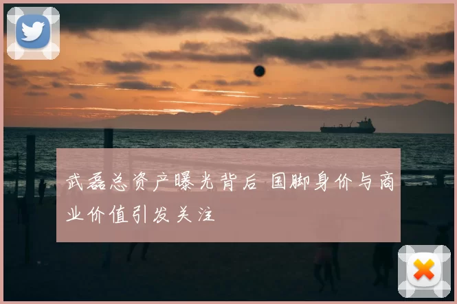 武磊总资产曝光背后 国脚身价与商业价值引发关注