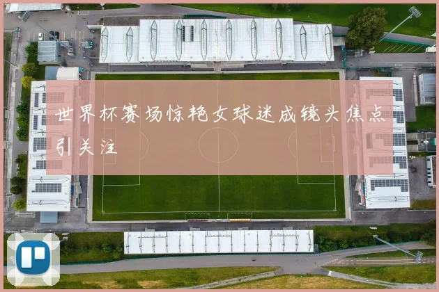 世界杯赛场惊艳女球迷成镜头焦点引关注