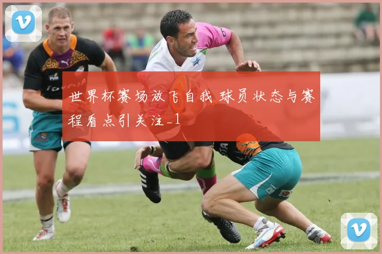 世界杯赛场放飞自我 球员状态与赛程看点引关注_1